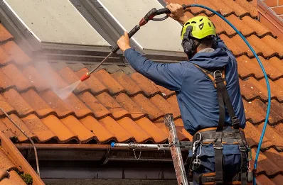 Démoussage et hydrofuge de toiture à la Sône